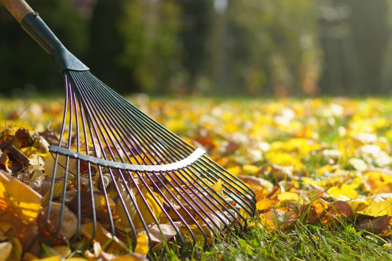 Lawn Leaf Raking