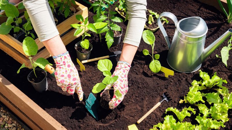 Assessing Your Garden Needs