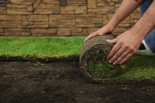 Lawn Sod Installation