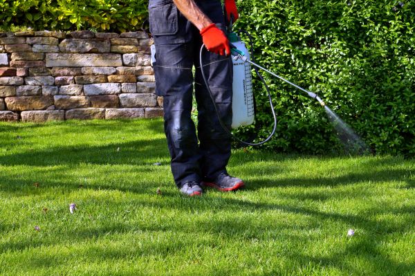 Garden Spraying